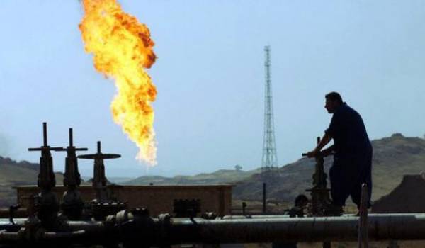 pet_873613794.jpg&w=600&h=350