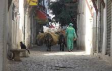 Avec les éboueurs de la Casbah