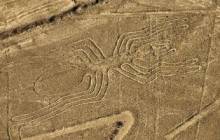 Les incroyables reliques de Nazca