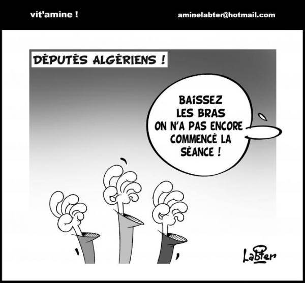 Le coup de griffe de notre dessinateur