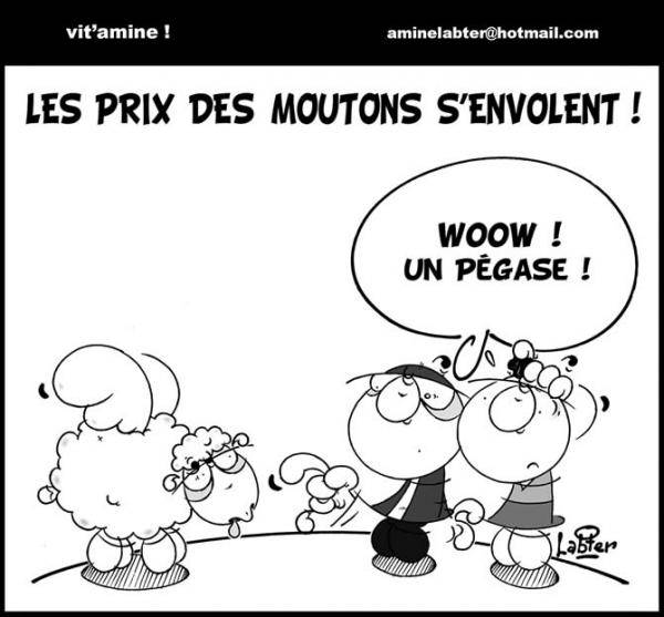 Le coup de griffe de notre dessinateur