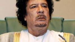 Kadhafi envisagerait une issue diplomatique