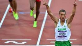 J.O. de Londres : Taoufik Makhloufi qualifié haut la main en finale