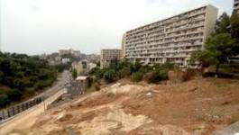 Affaire cité Bois des Pins : le journaliste Abdelghani Mahenni condamnée