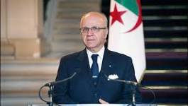 Il faut moins de honte pour le Maghreb M. Medelci !