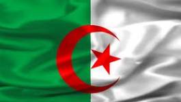 Bonne année 2013 l’Algérie…