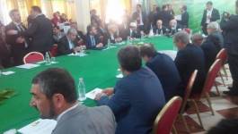 La conférence de l'opposition a commencé ce matin à Mazafran (actualisé)