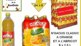 Quand N’Gaous fantasme ! (Vidéo)