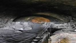 Les ancêtres de l'homme faisaient du feu il y a un million d'années