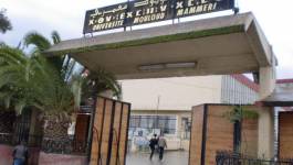 Conflits à l'université de Tizi-Ouzou : une commission ministérielle pour déminer la crise