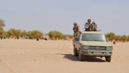 Un terroriste armé se rend aux forces de l'ANP à Tamanrasset, annonce la Défense