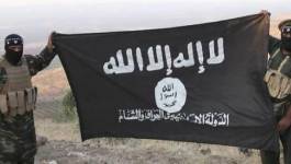 Un ancien de Daech livre des milliers d'informations sur l'organisation