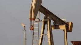 Le cours du pétrole poursuit sa chute sur les marchés