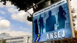 2700 jeunes de l'Ansej en cessation de paiement à Oran