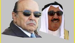 Les dessous de la complicité Bouteflika - Emirats : (Partie 1)