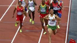 J.O. de Londres : exclusion de l'athlète algérien Makhloufi