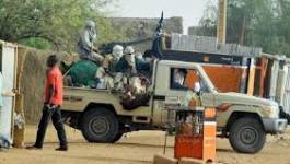 Les habitants de Gao empêchent des islamistes de couper la main d'un jeune