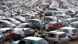 Oran : un grand marché de voitures en cours de réalisation