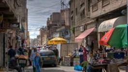 Jeux de hasard à Oran : les autorités laissent faire