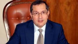 Mutations énergétiques : l'urgence d’un nouveau management pour Sonatrach et Sonelgaz