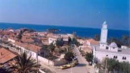 Tigzirt : les spéculateurs dictent leur loi