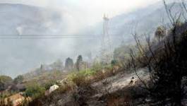 Béjaïa : un collectif citoyen contre les feux de forêts est né à Akbou