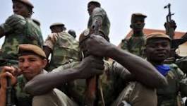 Mali : l'armée tue froidement 16 prédicateurs islamistes dans une voiture