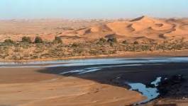 Le Sahara algérien : diversité écologique et poumon économique