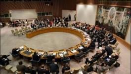 Conseil de sécurité de l'ONU : pour un plan d’intervention au Mali