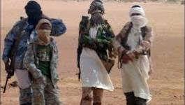 Azawad : un plan d'action de reconquête du nord adopté par l'Onu