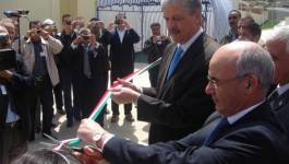 Elections locales : les partis ignorent le Plan d'action de Sellal