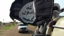 Le Mujao libère cinq humanitaires nigériens