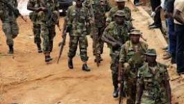 Nigeria : des raids de l'armée sur le fief de Boko Haram font 30 morts