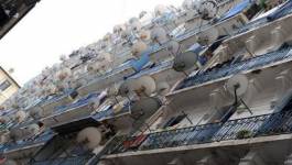 Algérie : ouverture "progressive" de l'audiovisuel au privé en 2013 ?