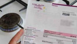 France : le gaz augmentera de 2,4% le 1er janvier 2013