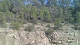 Khenchela : des experts méditerranéens à la découverte de la forêt de Beni-Melloul