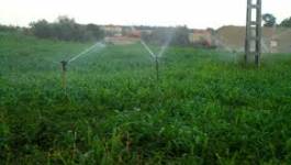 Extension de la surface des terres agricoles à Relizane