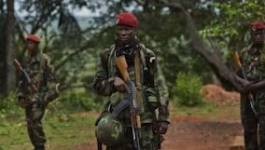 Centrafrique : Alindao et Kouango tombent aux mains des rebelles