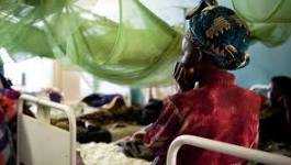 France : l'excision menace encore des fillettes, surtout pendant les vacances