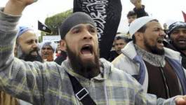 Tunisie : bras de fer Ali Laarayedh - salafistes radicaux