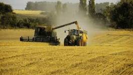 Algérie-France : plusieurs conventions et accords de coopération agricole signés