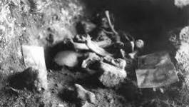 Mascara : découverte d’ossements d’animaux et d’objets préhistoriques à Tighennif