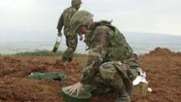 Colonialisme : plus de 3 millions de mines toujours disséminées aux frontières