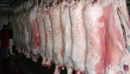 Importations de viande : une hausse de 56% en 2013