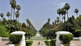 La renaissance du Jardin d'essai d'Alger