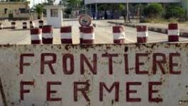 Le Maroc veut dresser une muraille de barbelés à la frontière algérienne