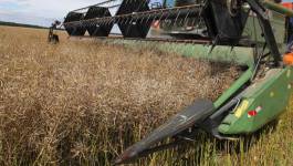 La sécurité alimentaire est-elle subordonnée à la maîtrise d’une agriculture high-tech ?