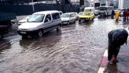 Malgré la pluie, le spectre de la sécheresse plane sur l'Algérie