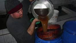 Kabylie : 17e fête des olives d’Akbou