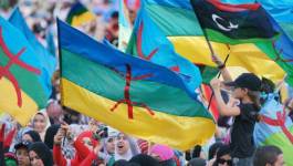 Les Amazigh boycottent l’élection de l'Assemblée constituante libyenne